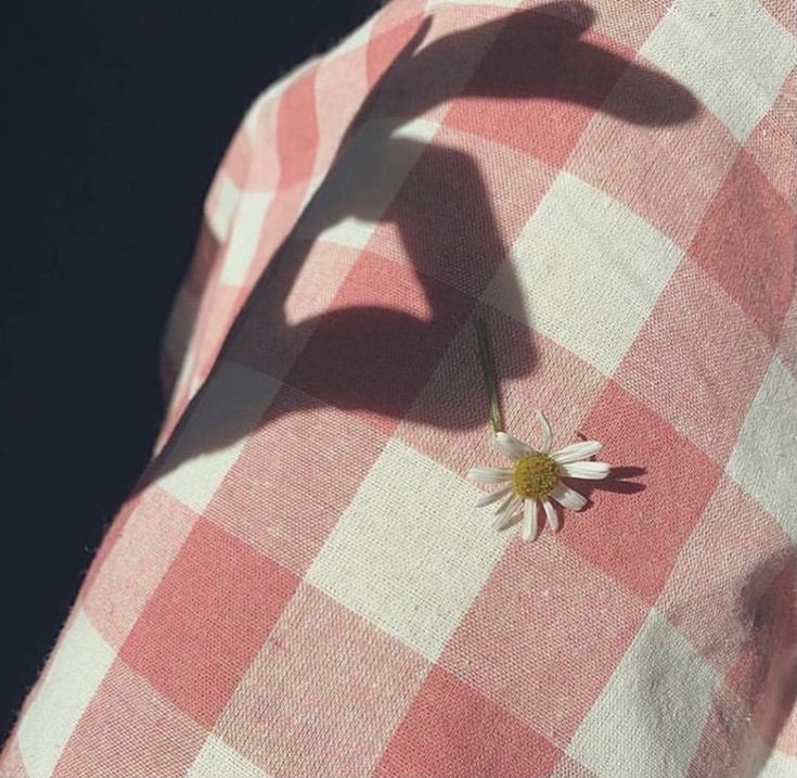 WhatsApp Image 2024-12-06 at 14.48.54