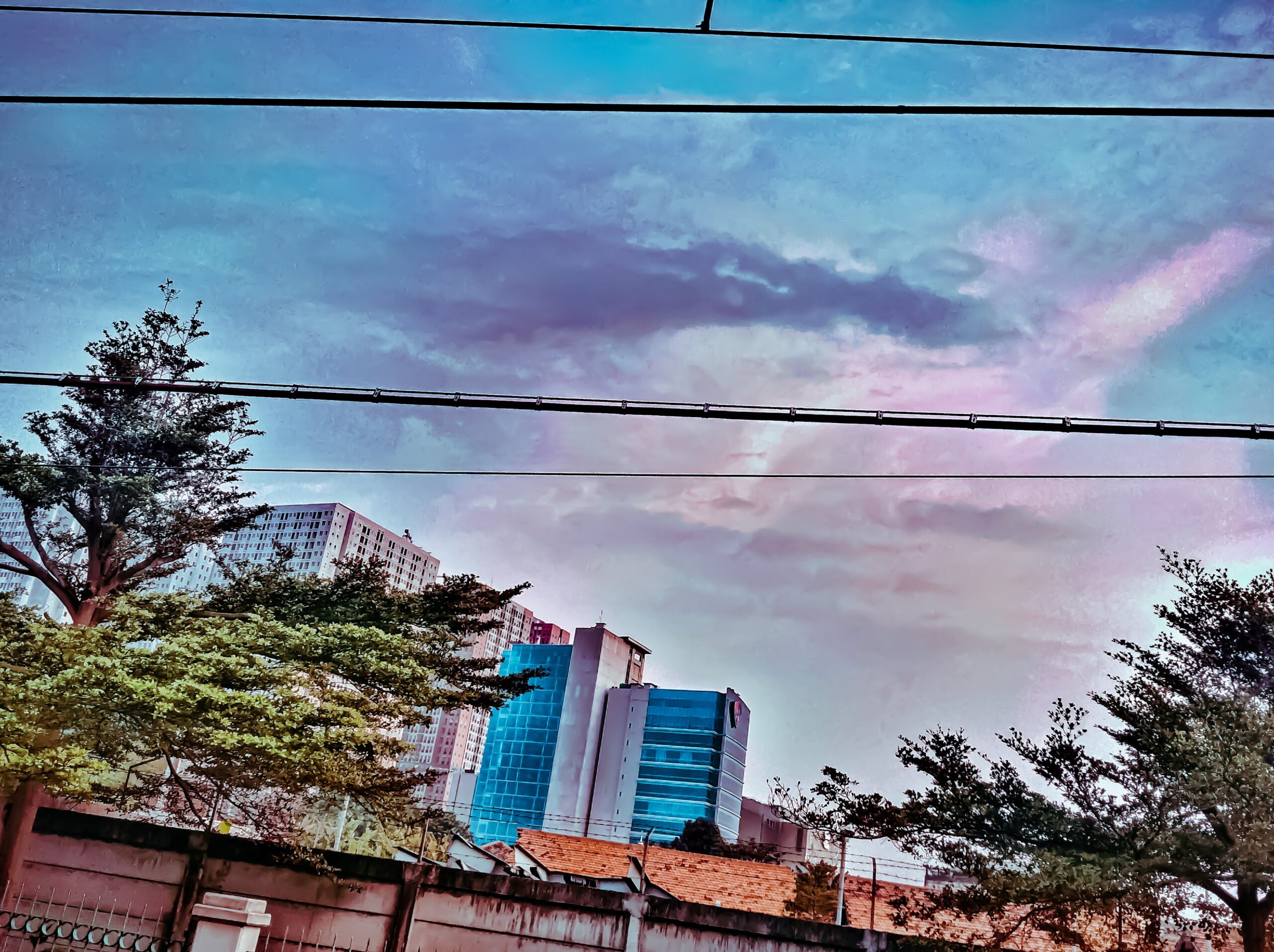 WhatsApp Image 2024-12-06 at 14.48.54