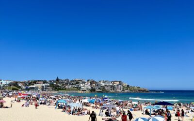 Tahun Baru, Pecel, Web Pod Buddy, dan Stoberi