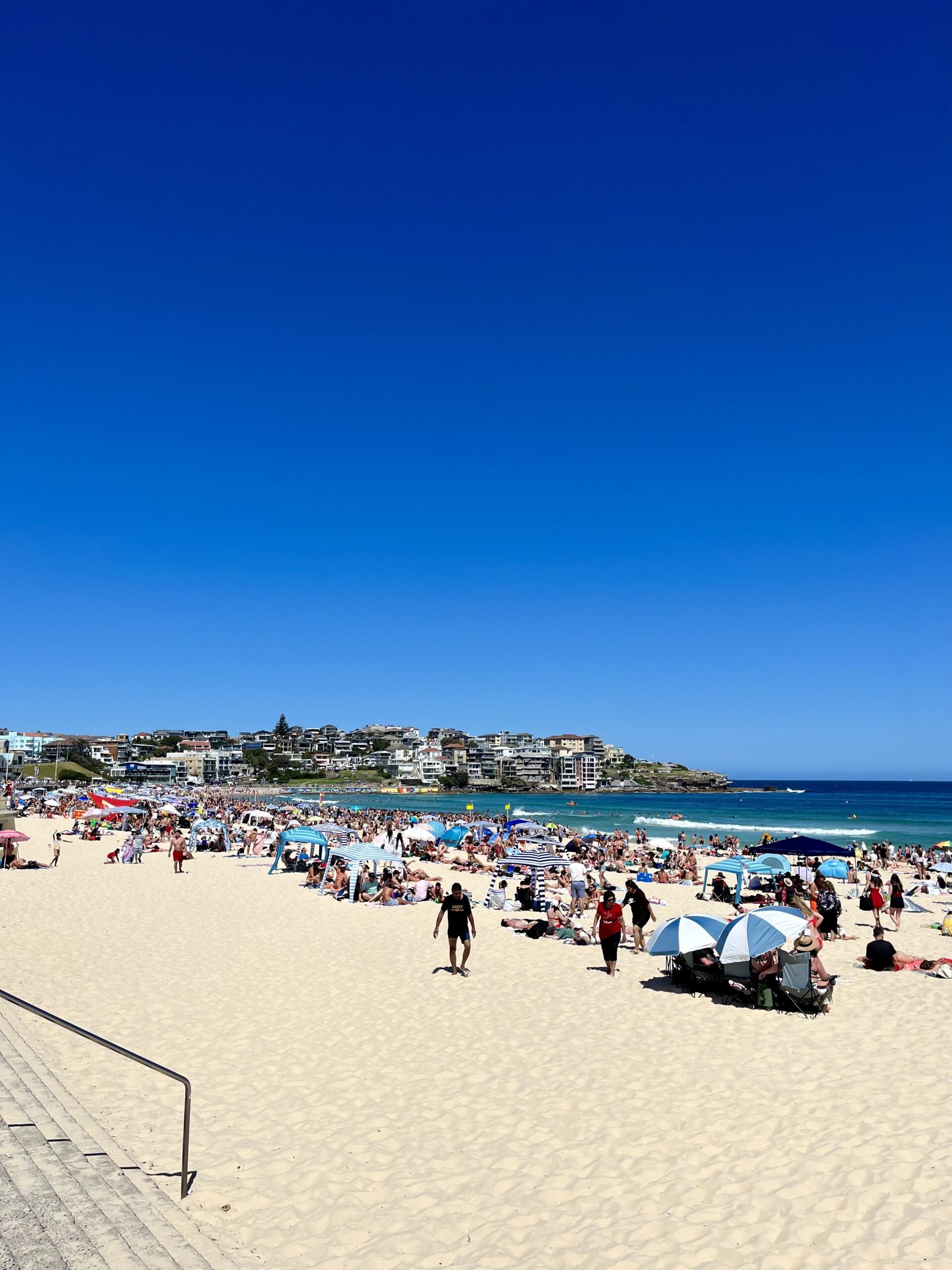 WhatsApp Image 2024-12-06 at 14.48.54