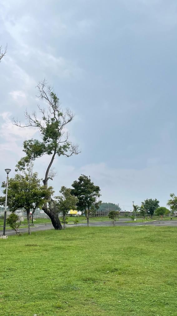 WhatsApp Image 2024-12-06 at 14.48.54 WhatsApp Image 2024-12-06 at 14.48.54