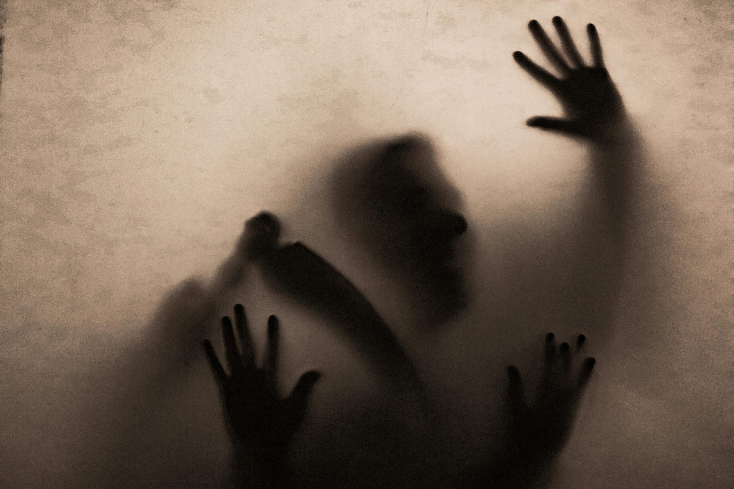 WhatsApp Image 2024-12-06 at 14.48.54 WhatsApp Image 2024-12-06 at 14.48.54